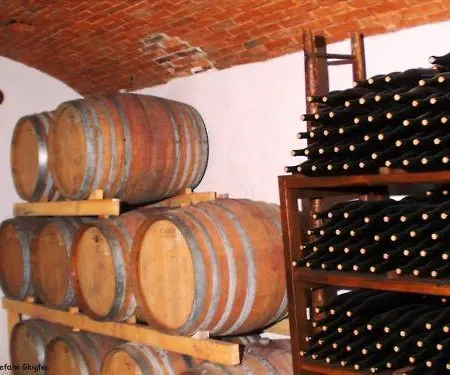 Tenuta Terensano
