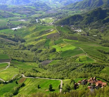 Tenuta Terensano