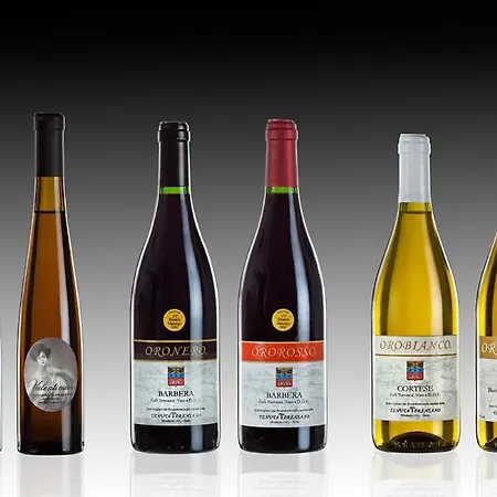 Tenuta Terensano Gospodarstwo wiejskie Monleale