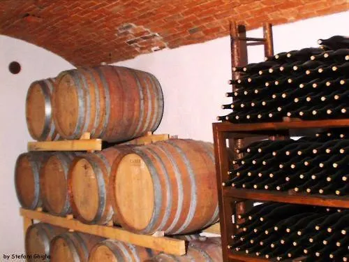 Tenuta Terensano