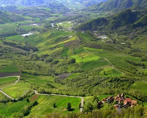 Tenuta Terensano
