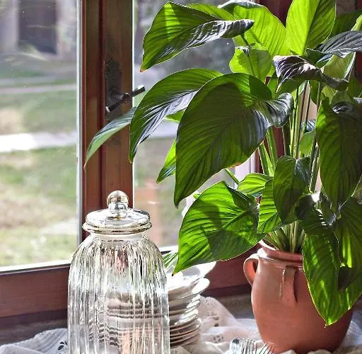 Tenuta Terensano 몬리엘