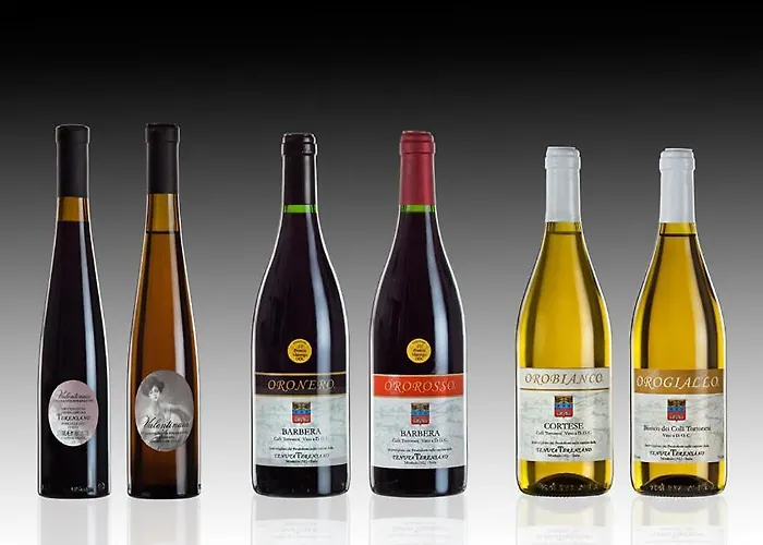 Tenuta Terensano カントリーハウス Monleale
