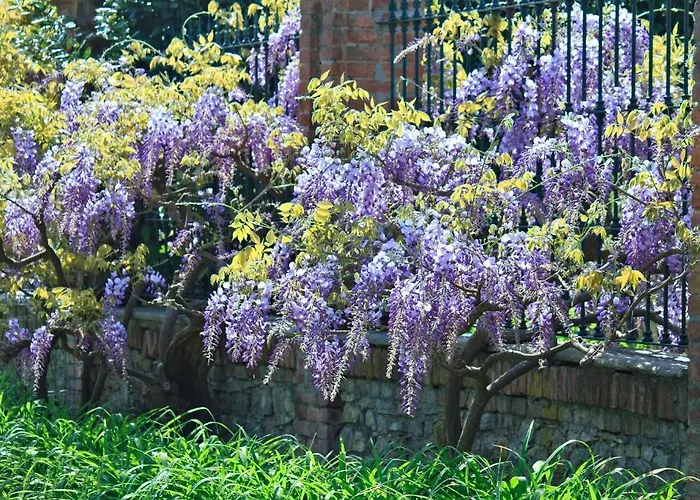 Tenuta Terensano カントリーハウス