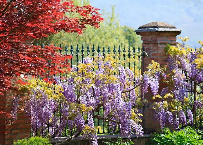 컨트리하우스 Tenuta Terensano 몬리엘